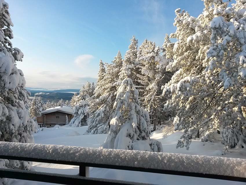 chute de neige au ventoux novembre 2019