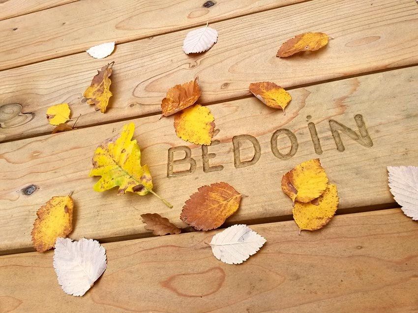 foret de bedoin ventoux