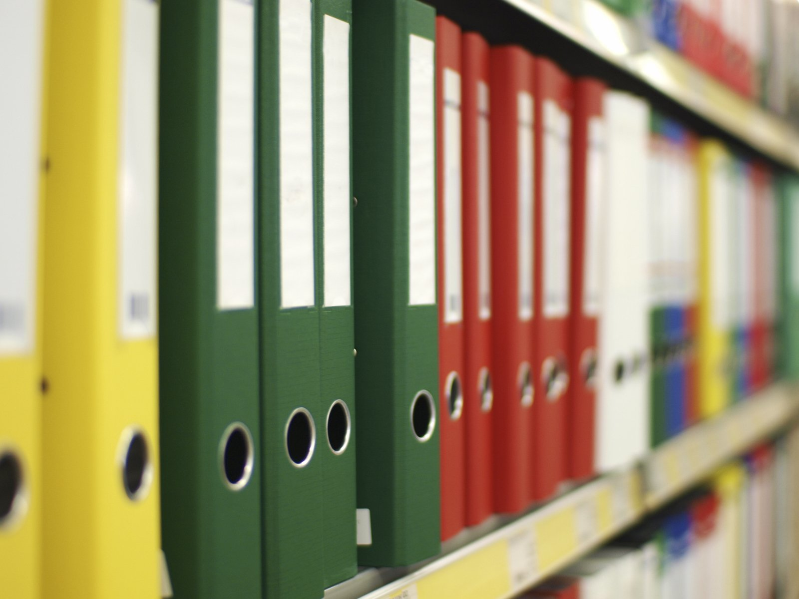 Informe pericial social