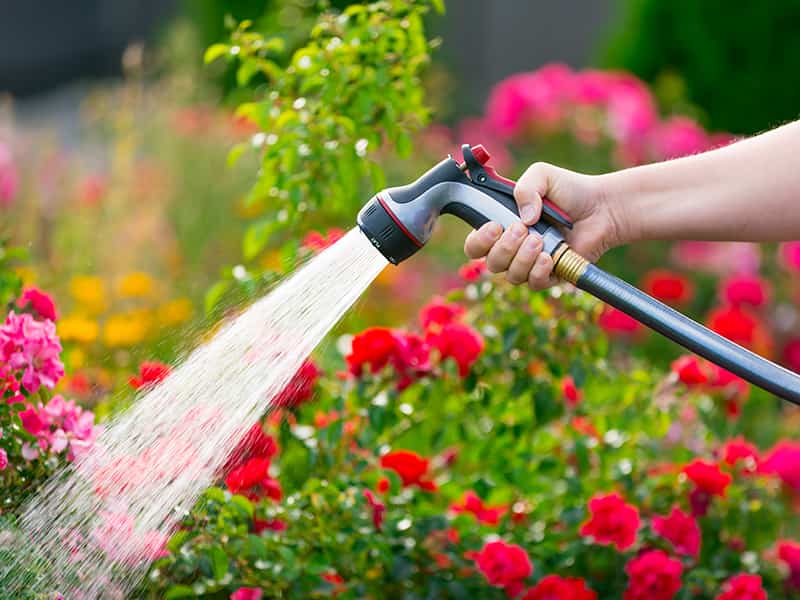 Contrato jardinero particular para trabajar en casa servicio doméstico gestoría Contrato jardinero particular para trabajar en casa servicio doméstico gestoría