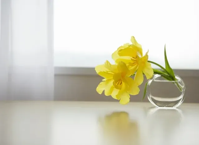 Gestoría de servicio doméstico gestión laboral de empleados de hogar alta asegurar baja variación de datos en la seguridad social contrato nóminas despido liquidación finiquito indemnización incapacidad temporal Gestoría de servicio doméstico gestión laboral de empleados de hogar alta asegurar baja variación de datos en la seguridad social contrato nóminas despido liquidación finiquito indemnización incapacidad temporal