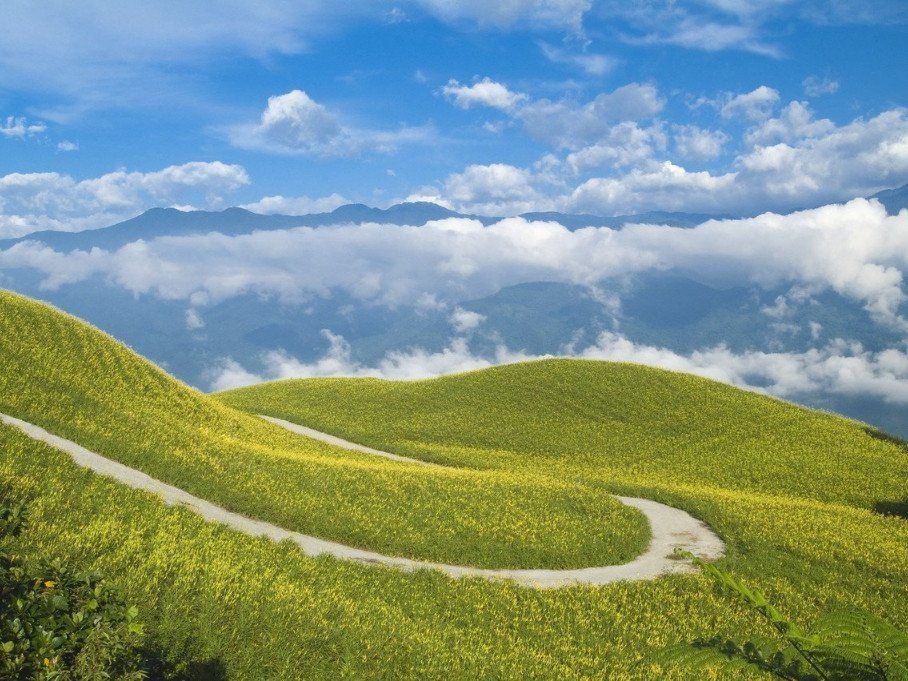 Ein Weg durch grüne Hügellandschaft als Symbol für MBSR