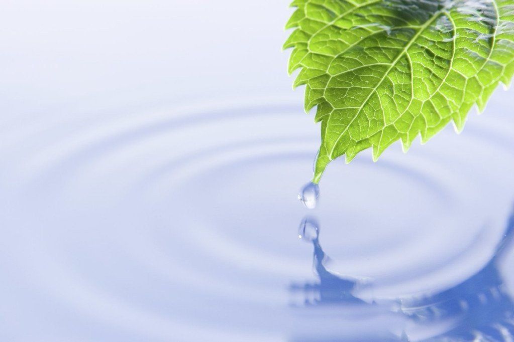 Achtsamkeit symbolisiert durch ein grünes Blatt, von dem aus ein Tropfen ins Wasser fällt.