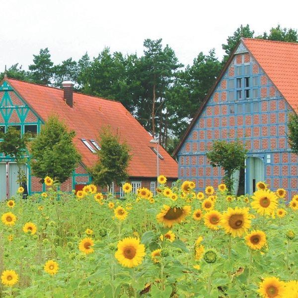 Yoga-Haus von außen