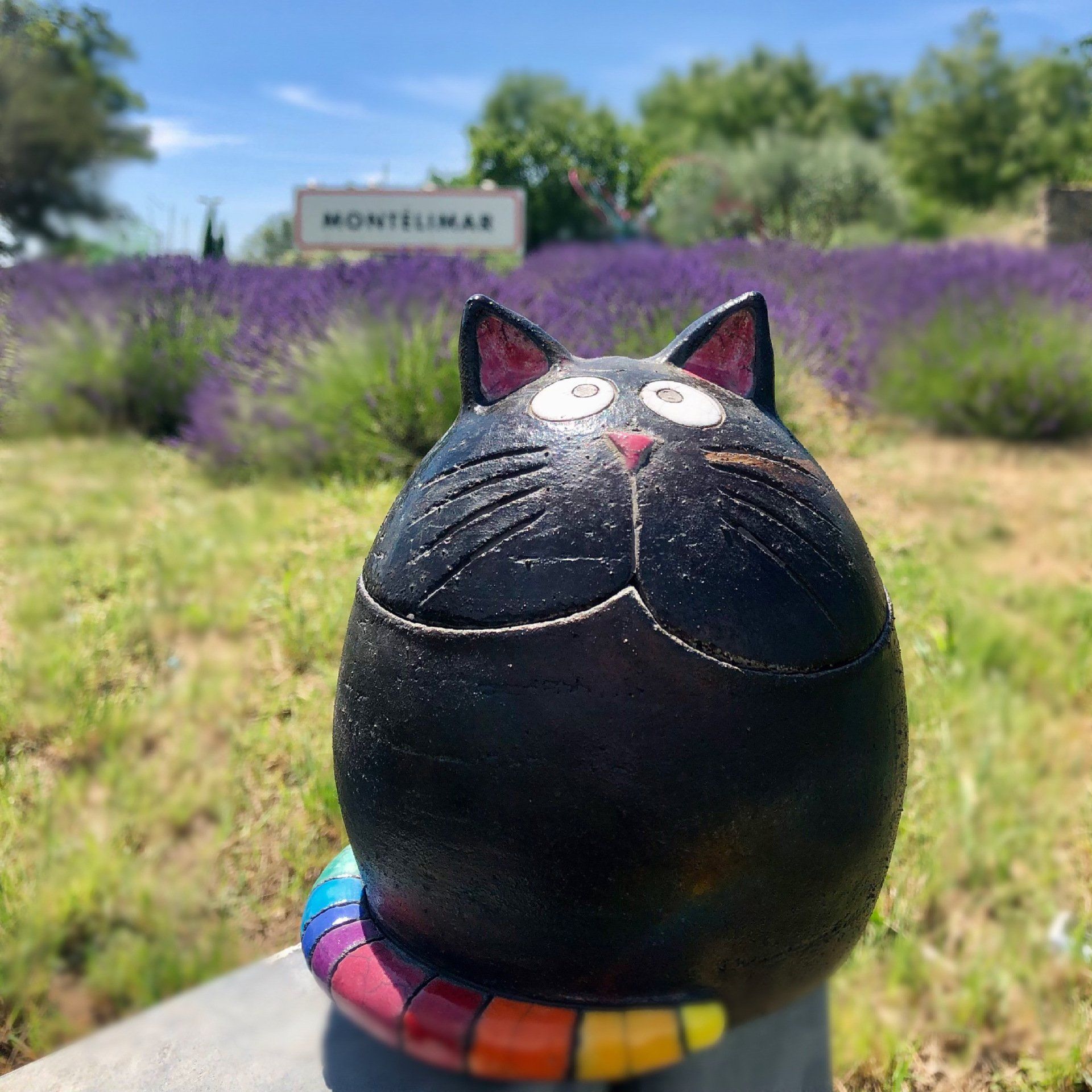 Cliente d'un salon de coiffure à Montélimar