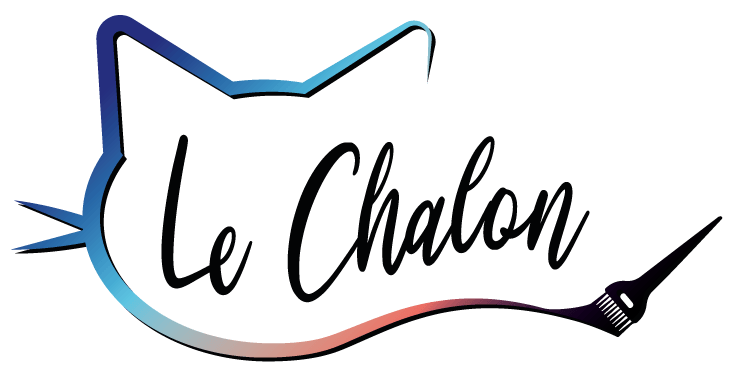 Logo en forme de tete de chat, avec l'ecriture en effet néon turquoise sur fond bleu marine. La forme est posé sur un fond en bois recyclé et fait maison
