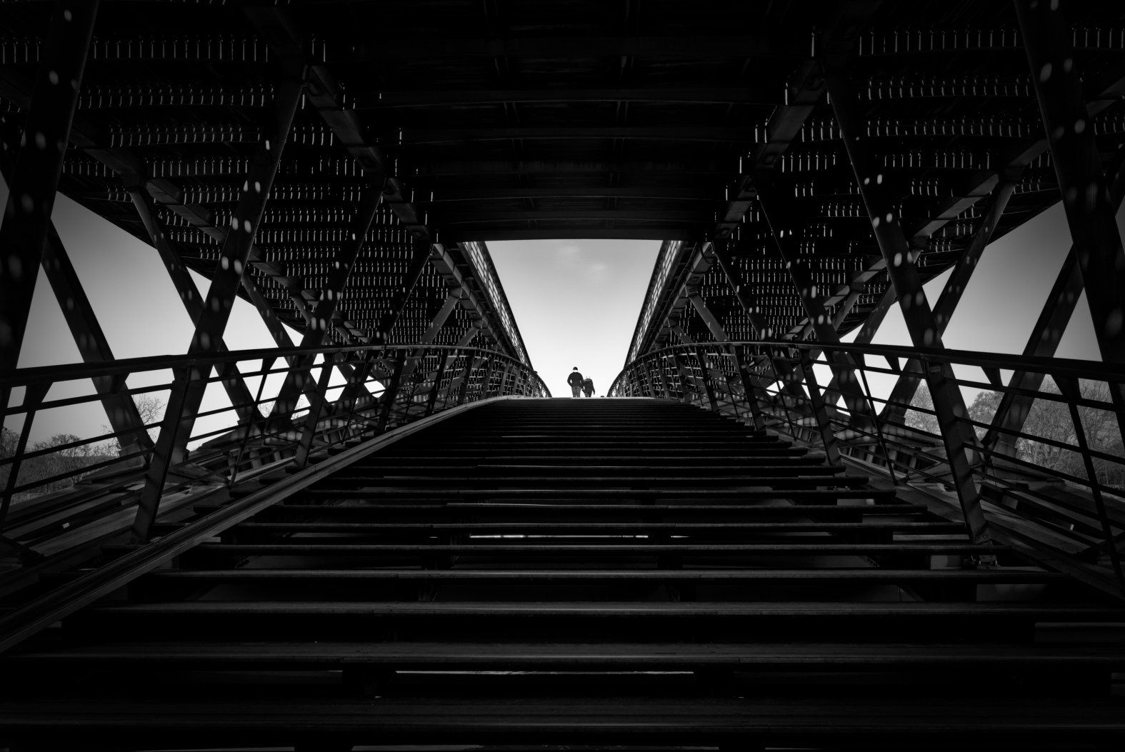Passerelle Léopold-Sédar-Senghor - Paris