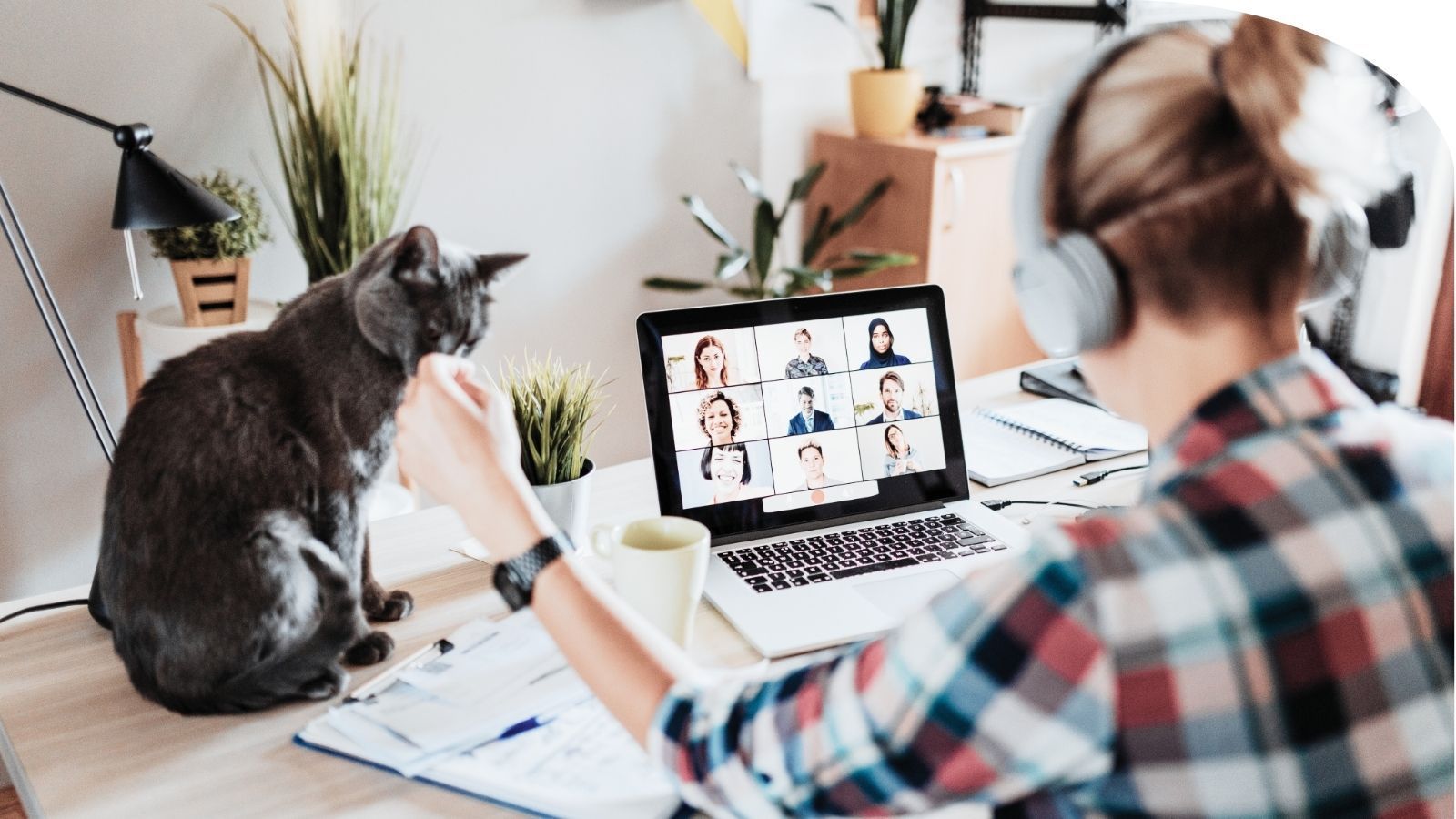 woman with headphones on sitting at a desk working on a laptop and stroking a cat