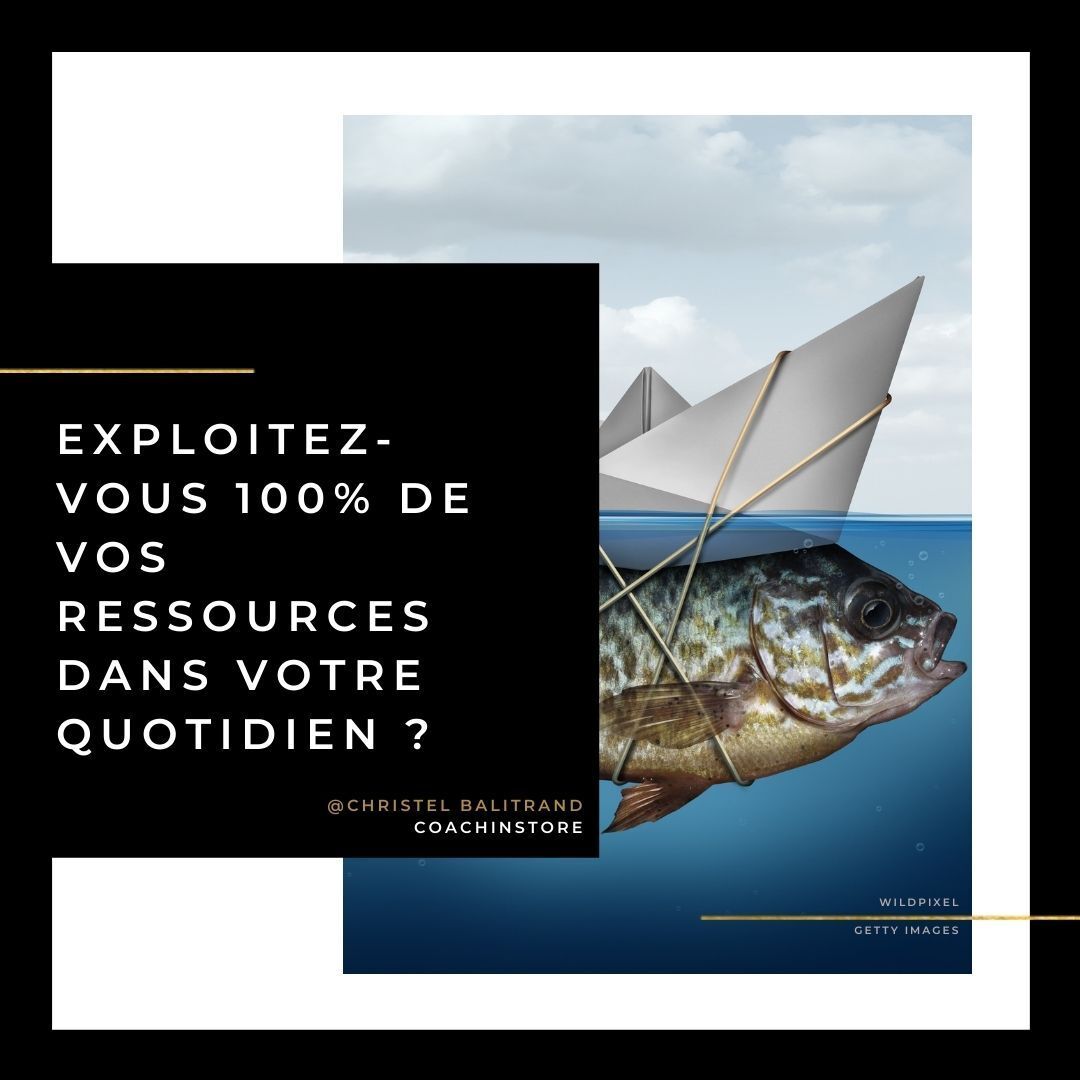 Pour vous guider dans l’atteinte de votre objectif professionnel.  Ils sont orientés solution et action.