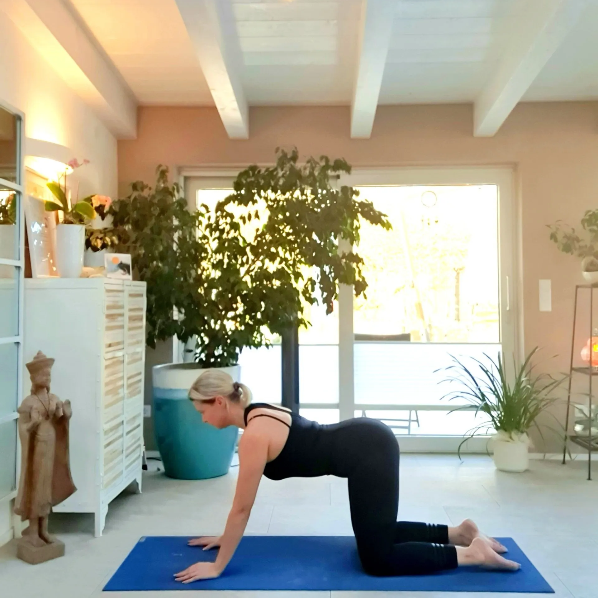 Pränatalyoga bwz. Schwangerschaftsyoga - Online Übungen zur Geburtsvorbereitung