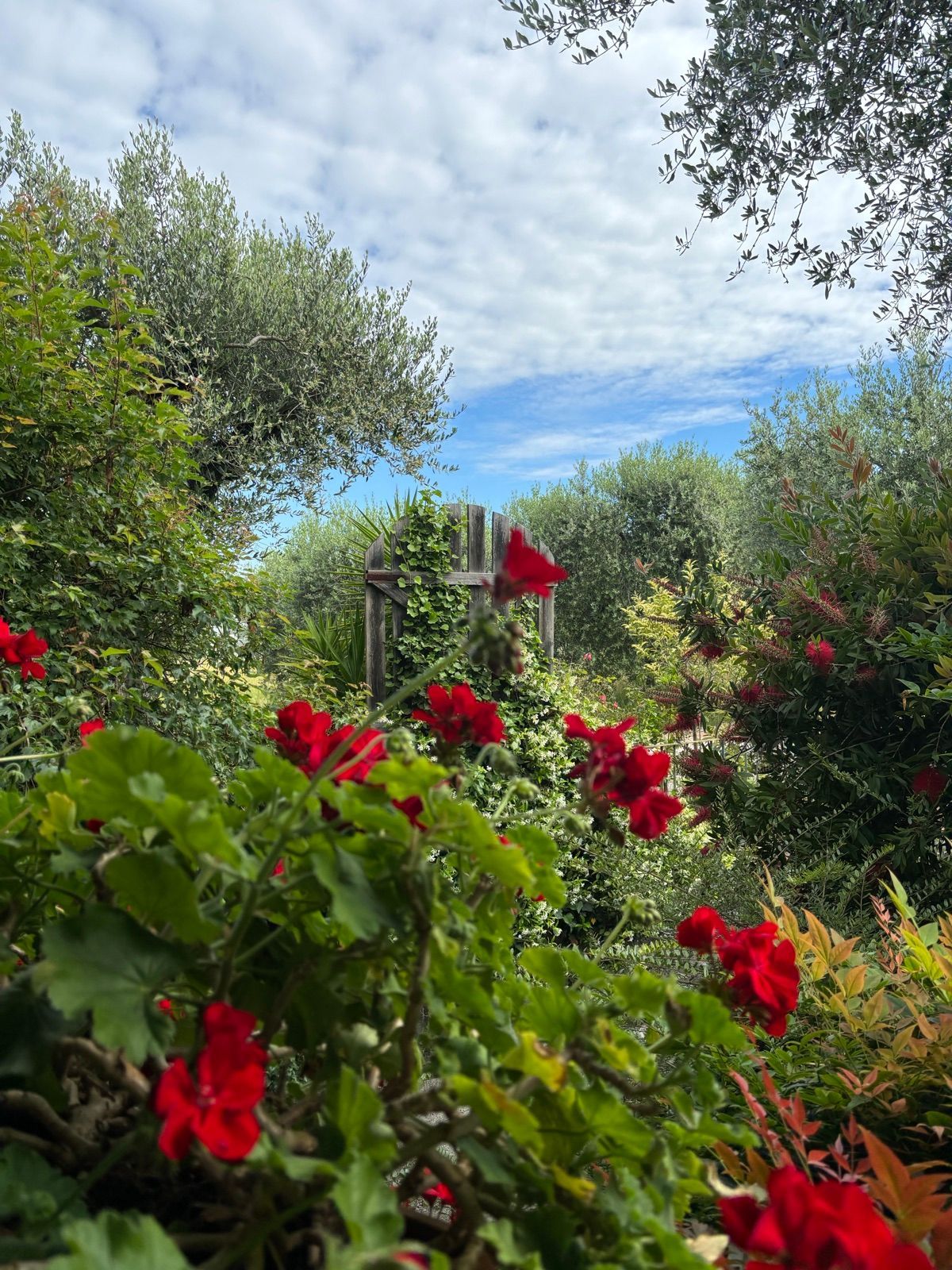 Schnuppertermin Erstes Gespräch zum Kennenlernen