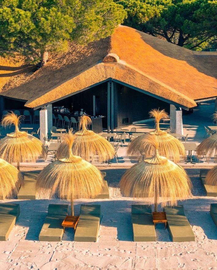 Vue rapprochée d'un bar de plage avec toit en chaume, transats et parasols en paille sous les pins.