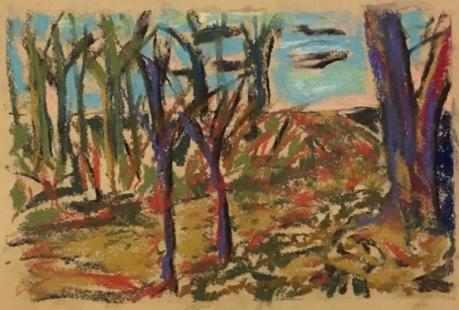 macworth trail painting by gratia