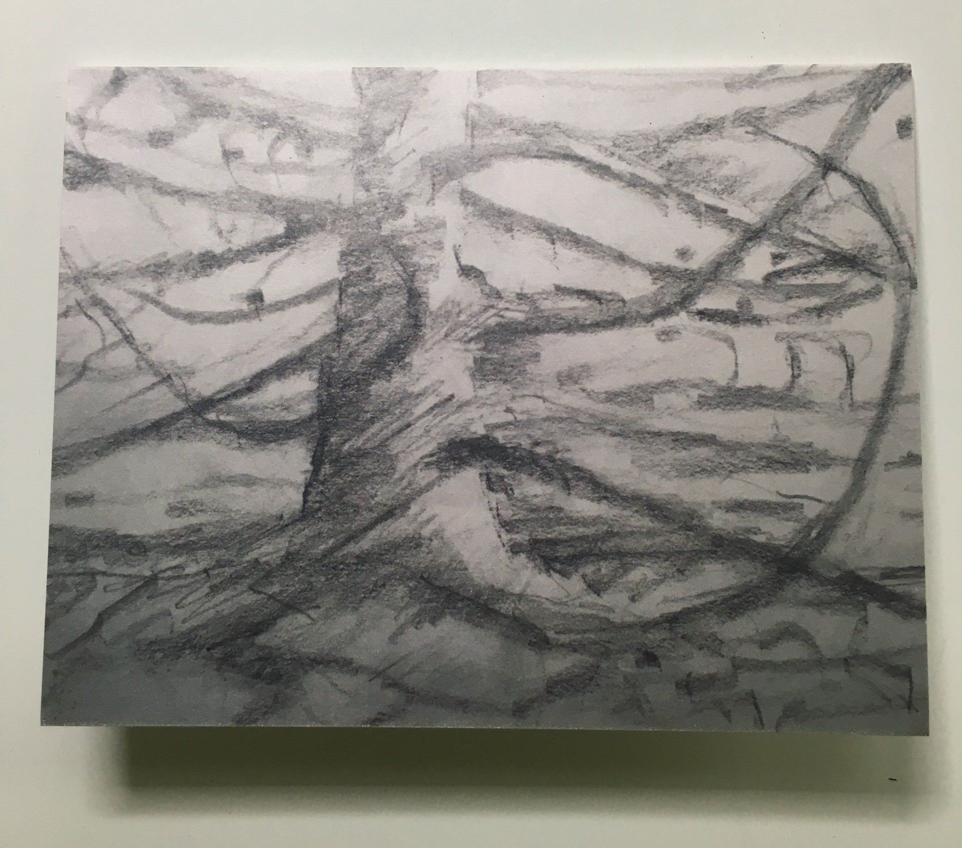 Pencil Sketch of Japanese Larch