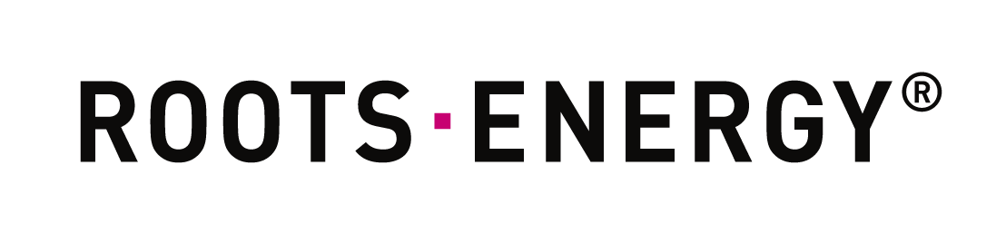 Realyzer Immobilien, Logo