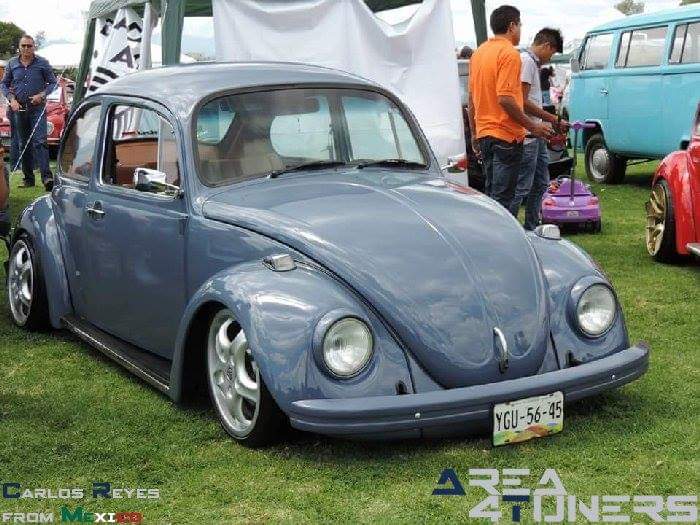 1er Bug Fest Nacional