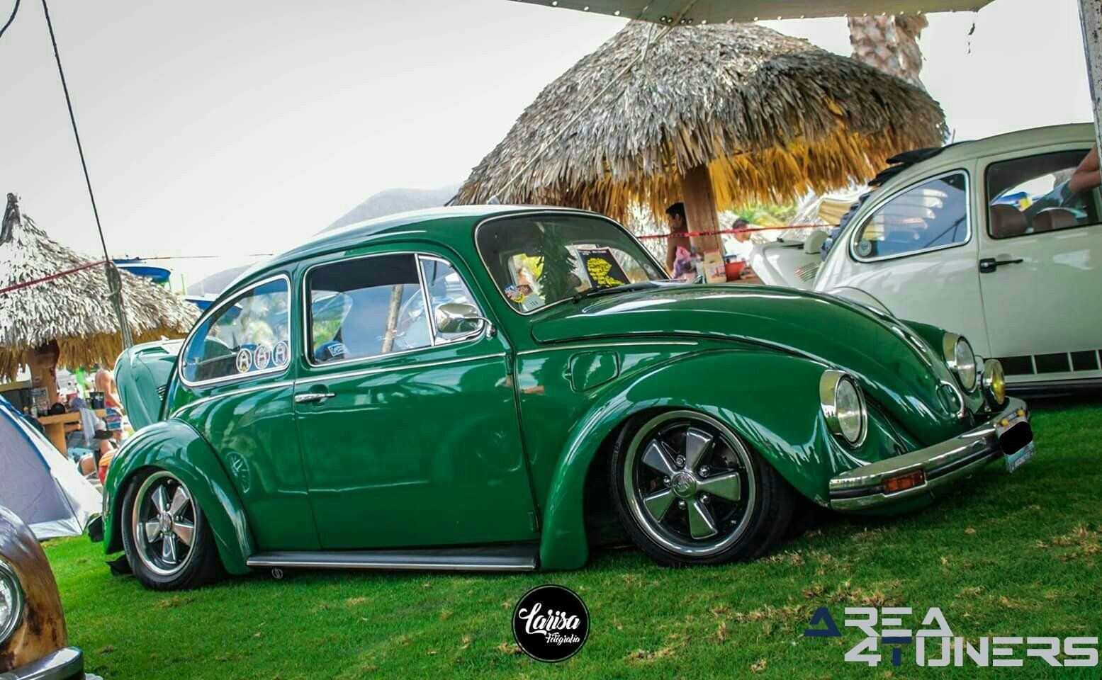 Bug Splash