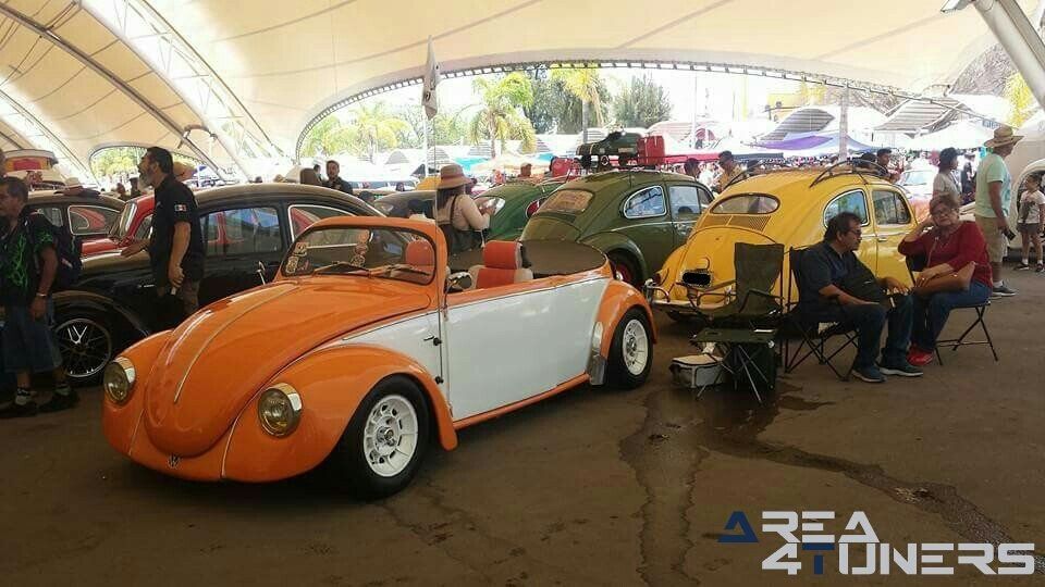 Festibug 2018