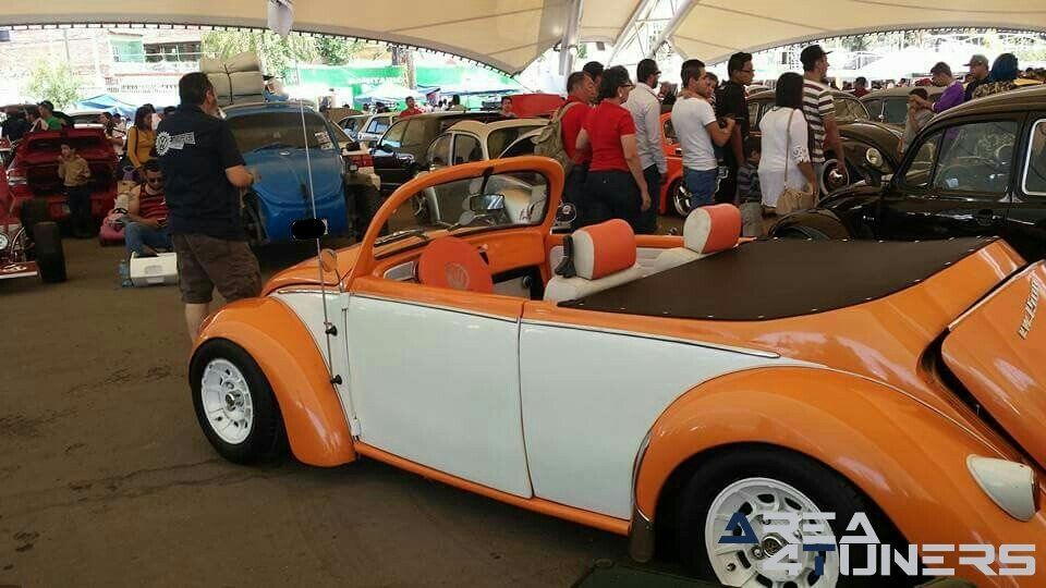 Festibug 2018