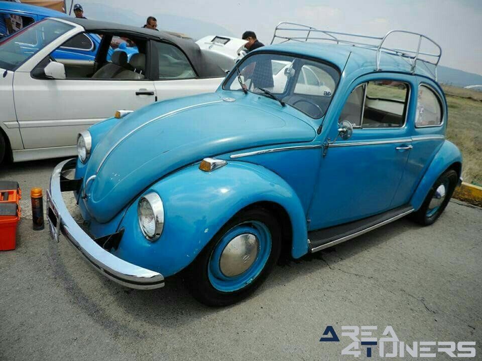 Bug Fest 8