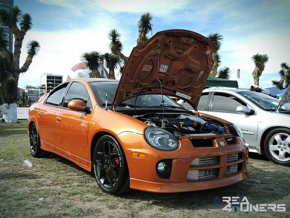 Tuzo Car Show