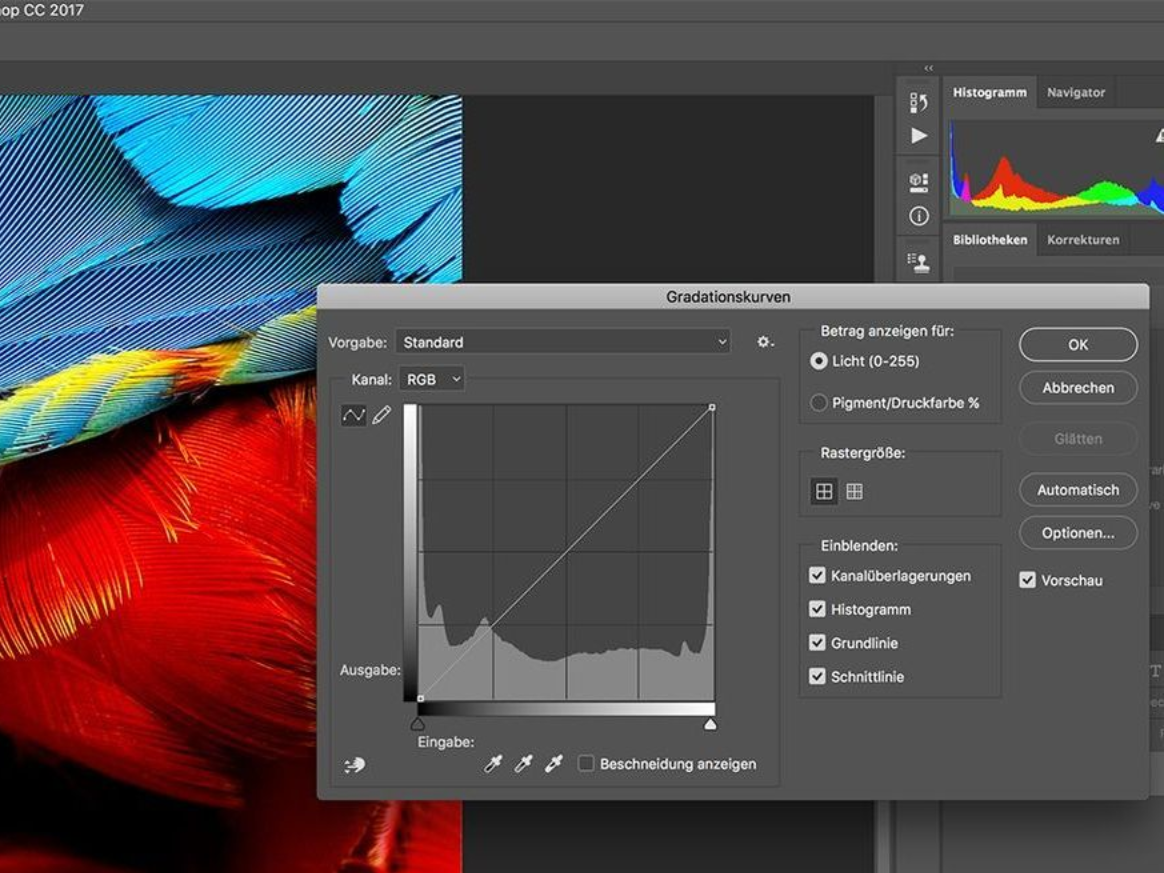 Fotokurs Lightroom 1 bei Blende-16 in Nürnberg: Fotokurse und Fotoworkshops.