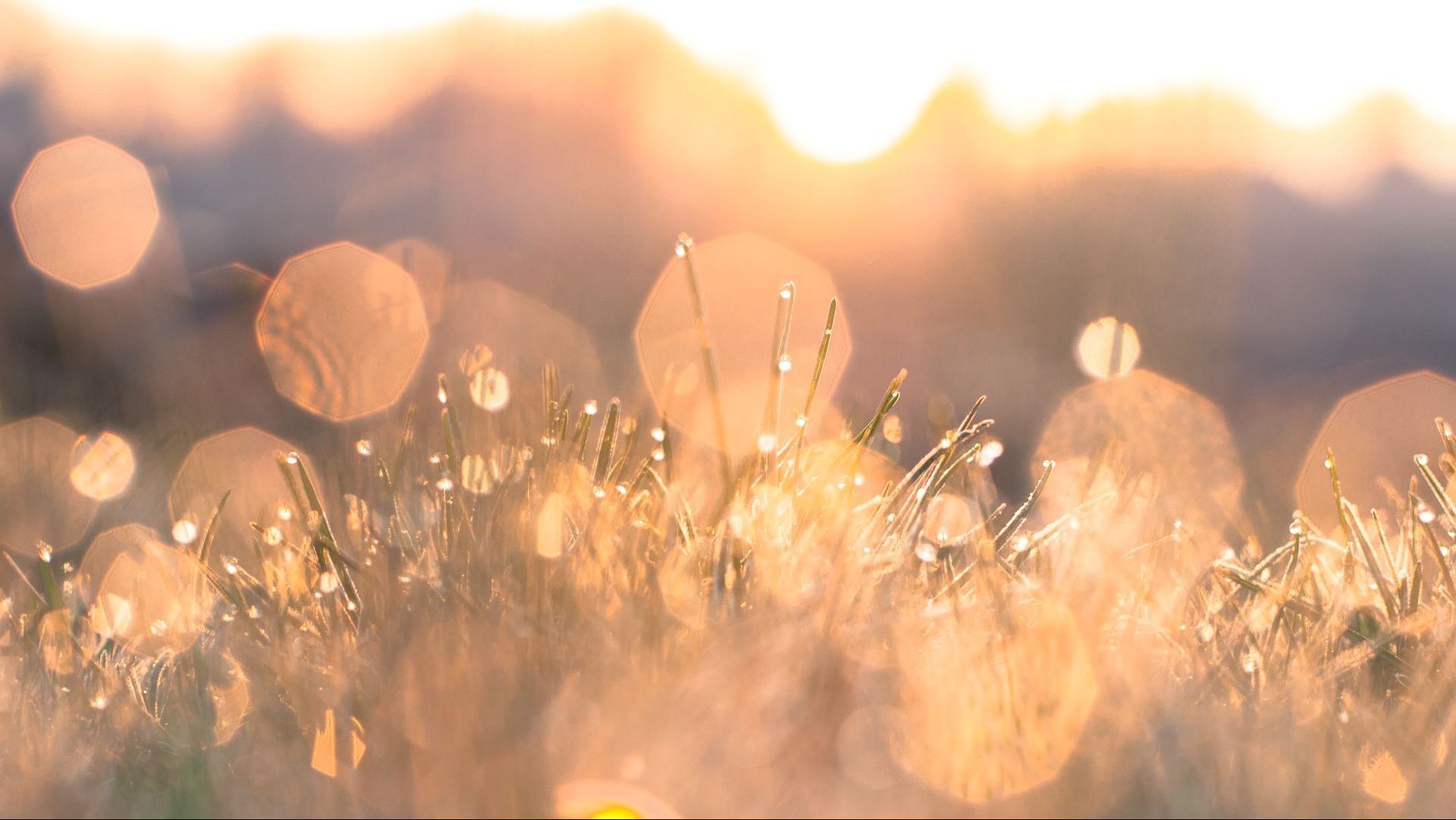 Fotokurs Landschaft Abstrakt an der Fotoschule Blende-16 in Nürnberg: Fotokurse und Fotoworkshops mit Alexander Mrosek.