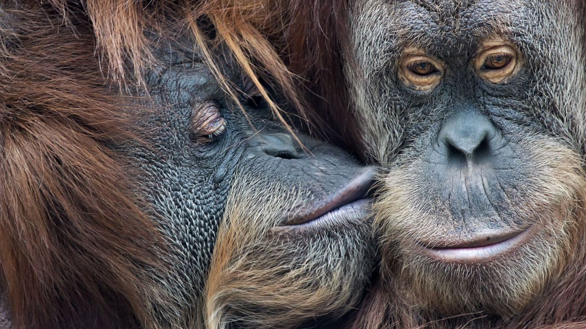 Fotokurs Tierfotografie 1 bei Blende-16 in Nürnberg: Fotokurse und Fotoworkshops.