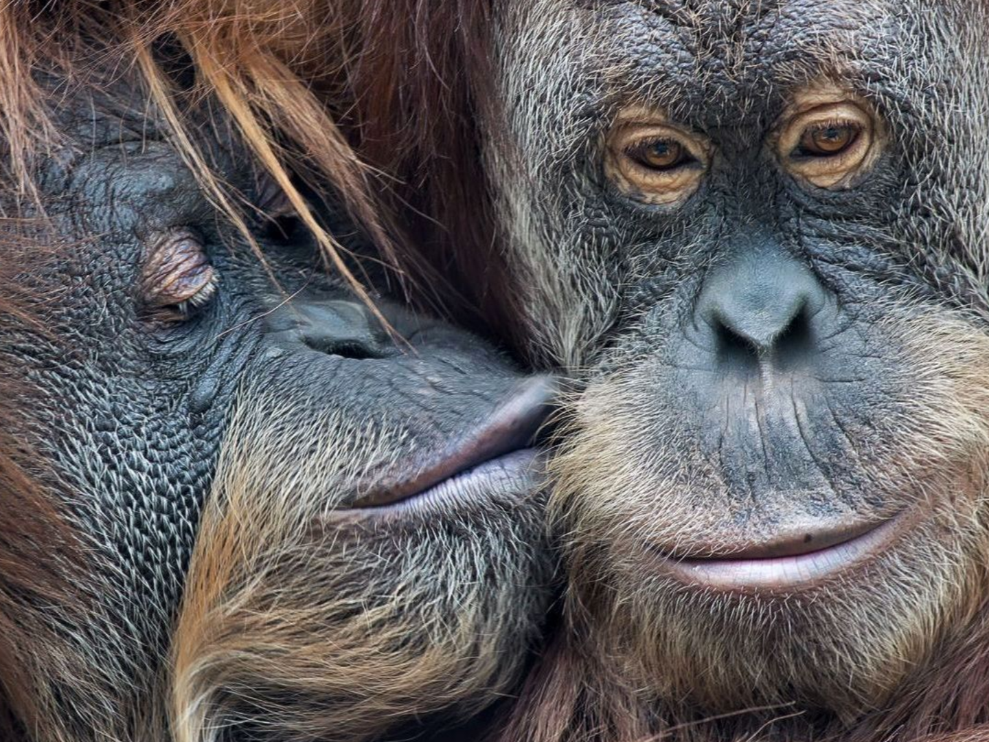 Fotokurs Tierfotografie 1 bei Blende-16 in Nürnberg: Fotokurse und Fotoworkshops.