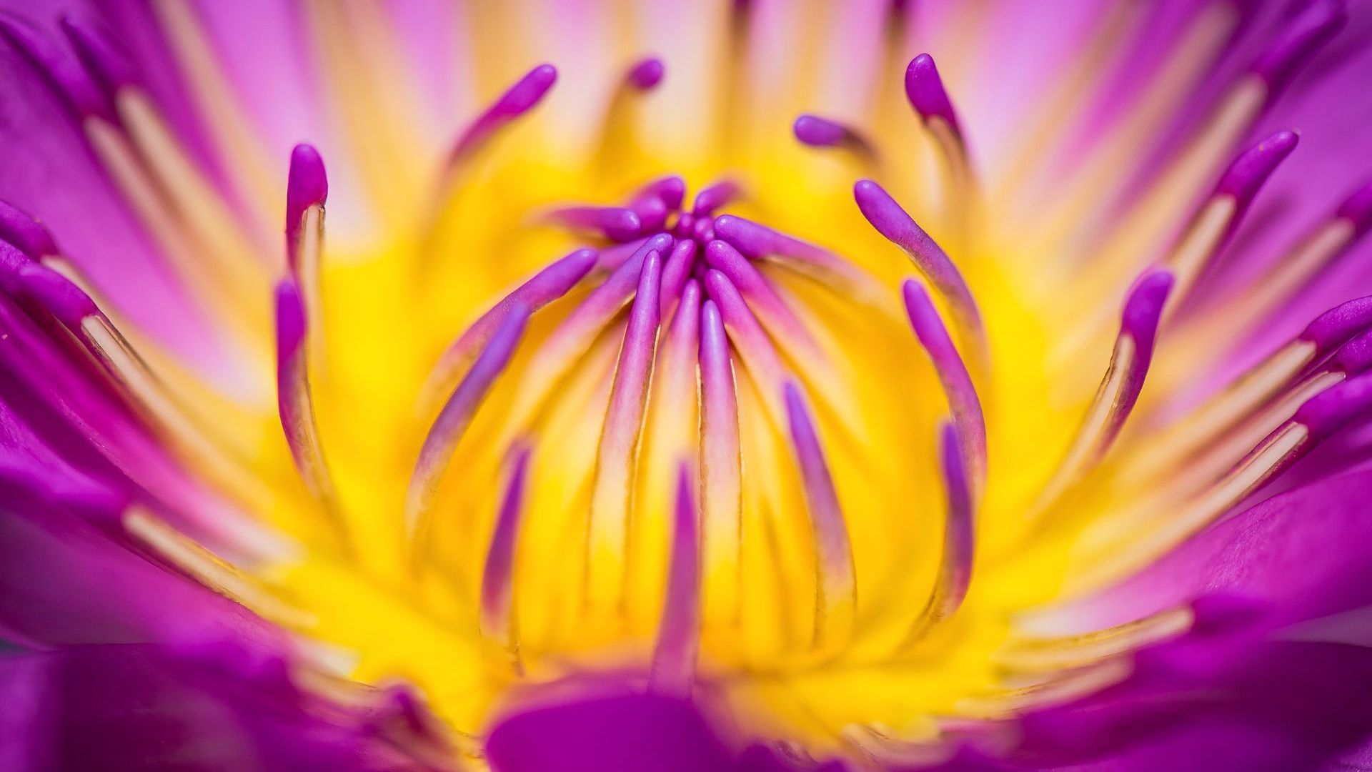 Fotokurs Makrofotografie 1 an der Fotoschule Blende-16 in Nürnberg: Fotokurse und Fotoworkshops mit Alexander Mrosek.