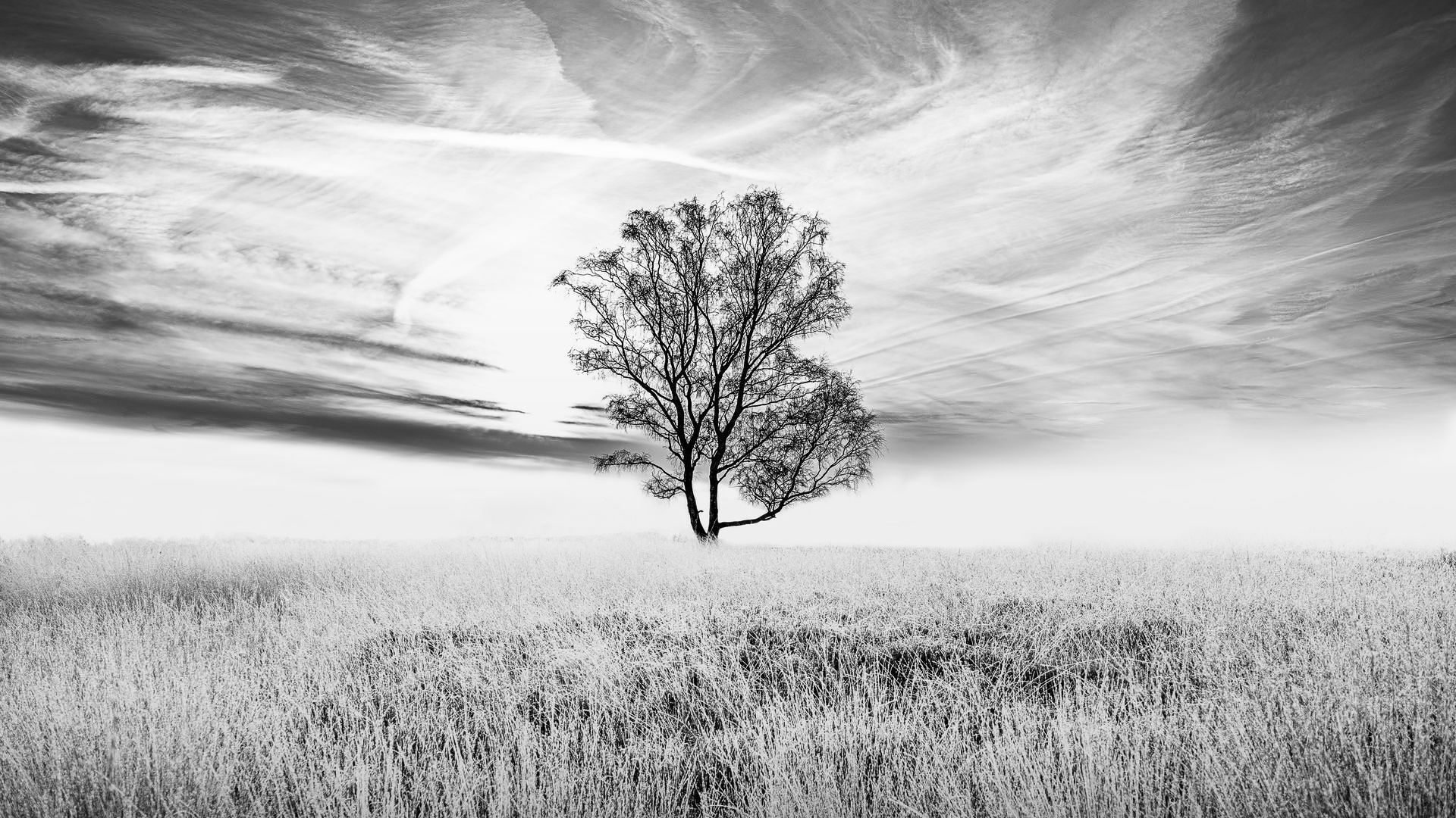 Fotokurs Monochrome Landschaften bei Blende-16 in Nürnberg: Fotokurse und Fotoworkshops.