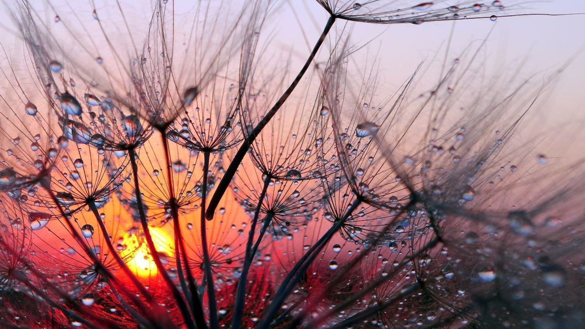 Fotokurs Makrofotografie 2 bei Blende-16 in Nürnberg: Fotokurse und Fotoworkshops.