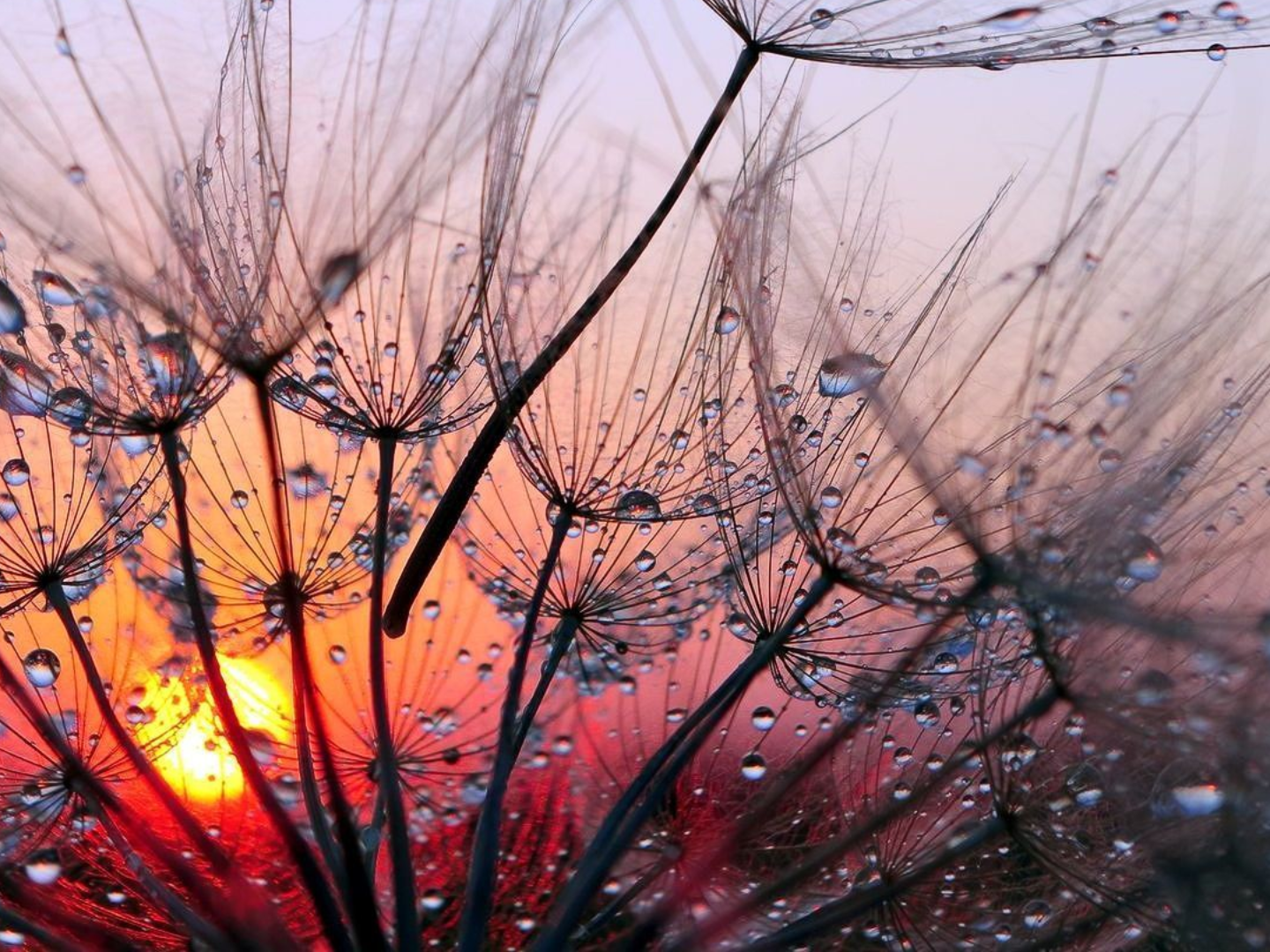 Fotokurs Makrofotografie 2 bei Blende-16 in Nürnberg: Fotokurse und Fotoworkshops.