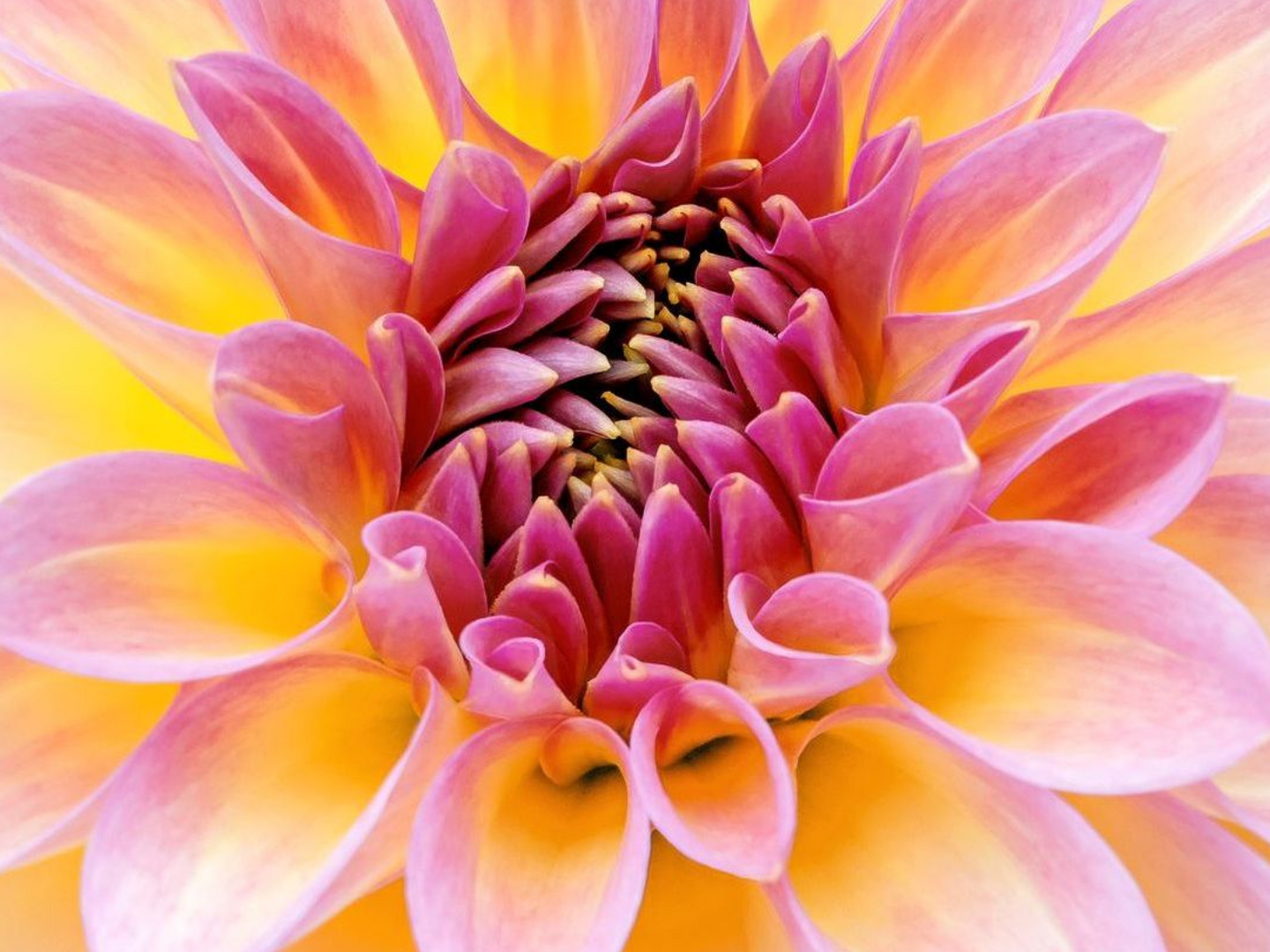 Fotokurs Makrofotografie 1 bei Blende-16 in Nürnberg: Fotokurse und Fotoworkshops.