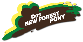 IG New Forest Pony