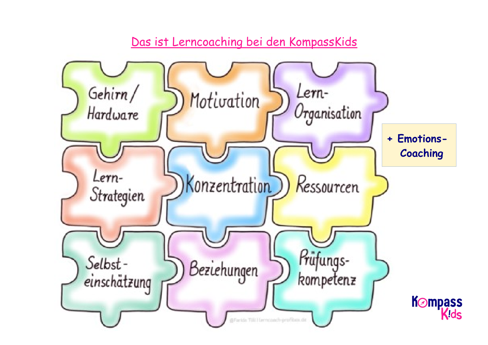 Lernerfolgspuzzle - das alles gehört zum Lernen dazu Gehirn, Motivation, Lernorganisation, Lernstrategien, Konzentration, Ressourcen stärken, Beziehungen, Prüfungskompetenz, Selbsteinschätzung und Emotionscoaching sind Bestandteile des Lerncoachings bei den KompassKids