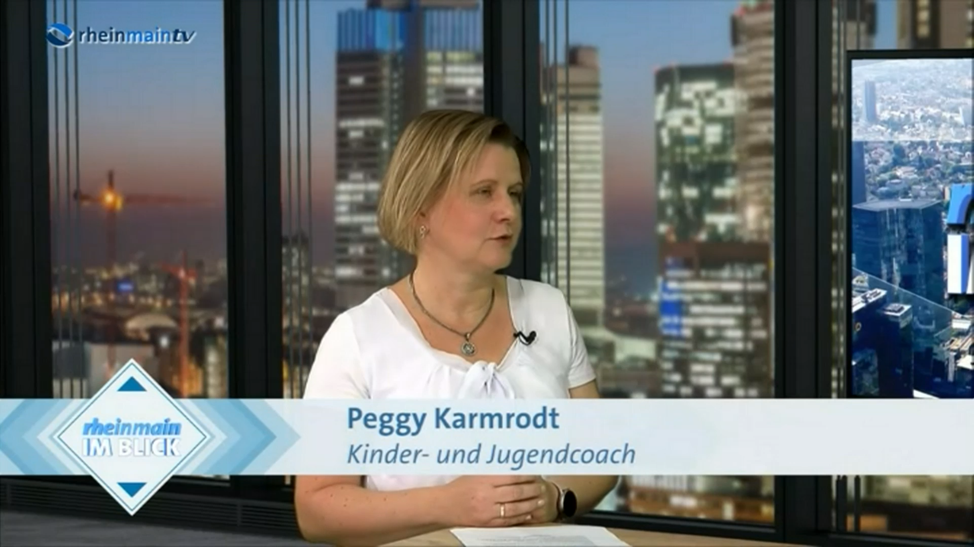 Fernsehinterview Rhein-Main-TV