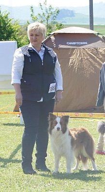 Im Dezember 2010 verstarb unsere treue und sanfte Mischlingshündin Cleo in unseren Armen. Danach ‚fehlte etwas’, wenn wir morgens aufstanden, tagsüber im Garten werkelten, beim Spazieren oder Wandern oder schlichtweg beim Nachhausekommen. Da wedelte und bellte keiner oder forderte zum Spielen auf. Es folgte eine lange Phase des Nachdenkens und Abwägens und ob wir uns wieder binden wollten. Und, wir wollten! Das Herz hatte gesiegt. Im Frühsommer 2011 begannen meine Recherchen.