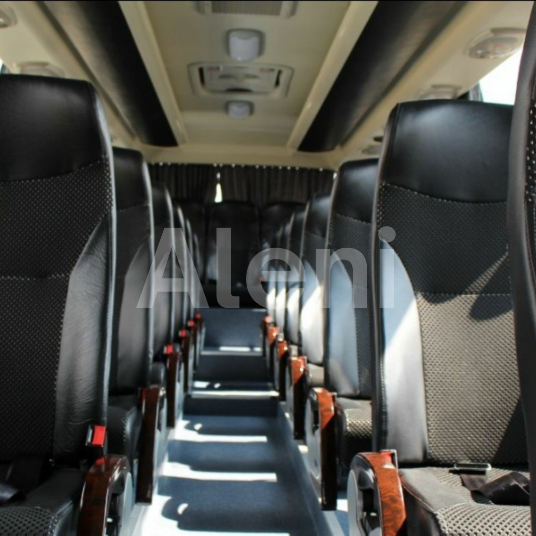 Renta de Minibuses cdmx, Renta de Minibus 33 pasajeros cdmx, renta de Miniautobus cdmx, Renta de midibus cdmx,Atreyotours, Minibus economico cdmx, minibus cdmx para excursiones cdmx, autobus chico, autobus para 30 personas, minivan para 25 pasajeros cdmx, renta de minibus para 30 pasajeros cdmx