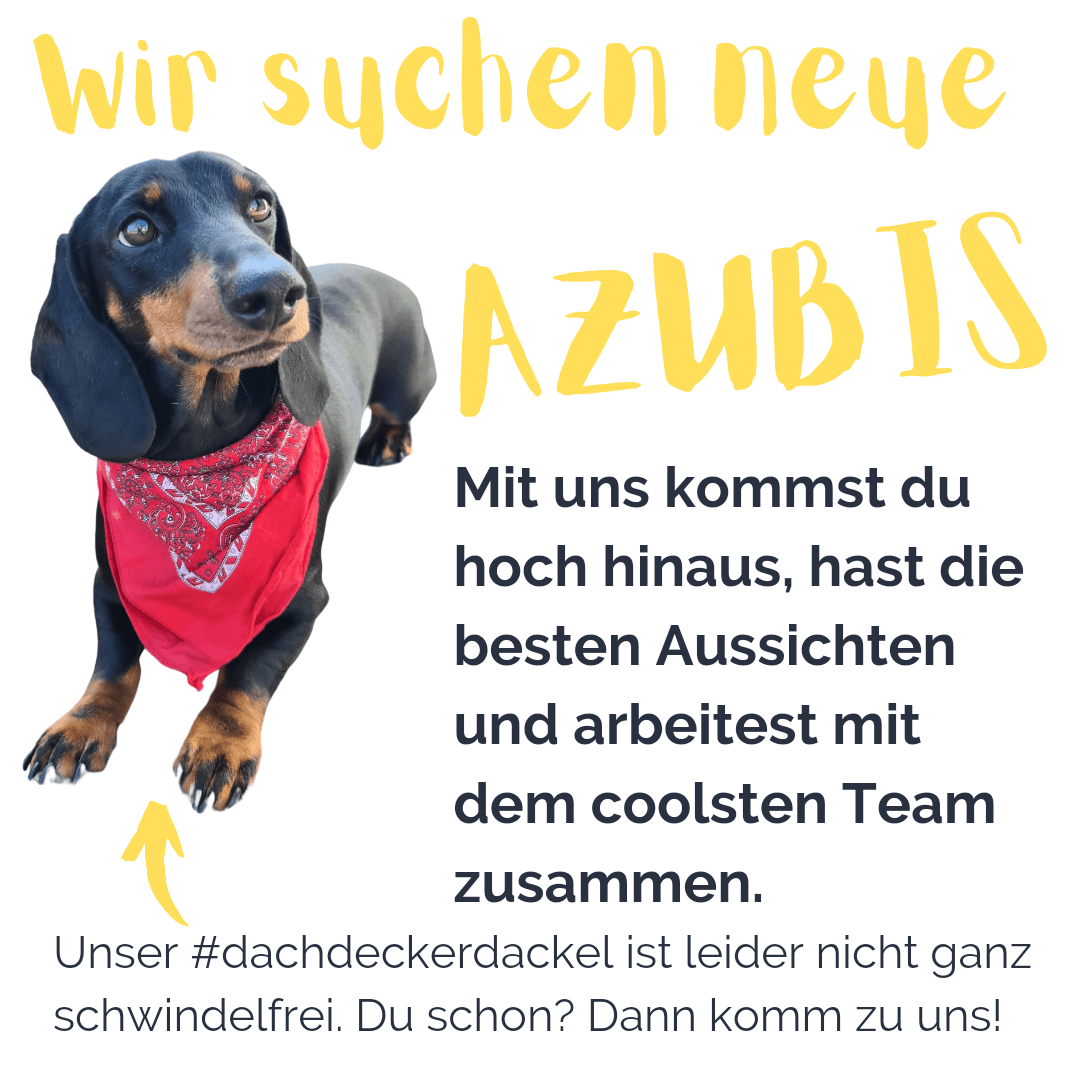 Ausbildung zum Dachdecker oder Zimmerer