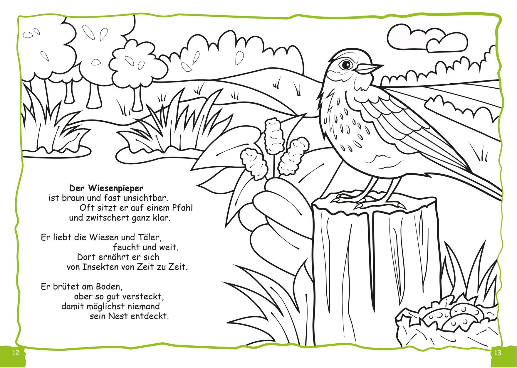 Malbuch Illustrationen heimischer Vogelarten für einen Naturpark -