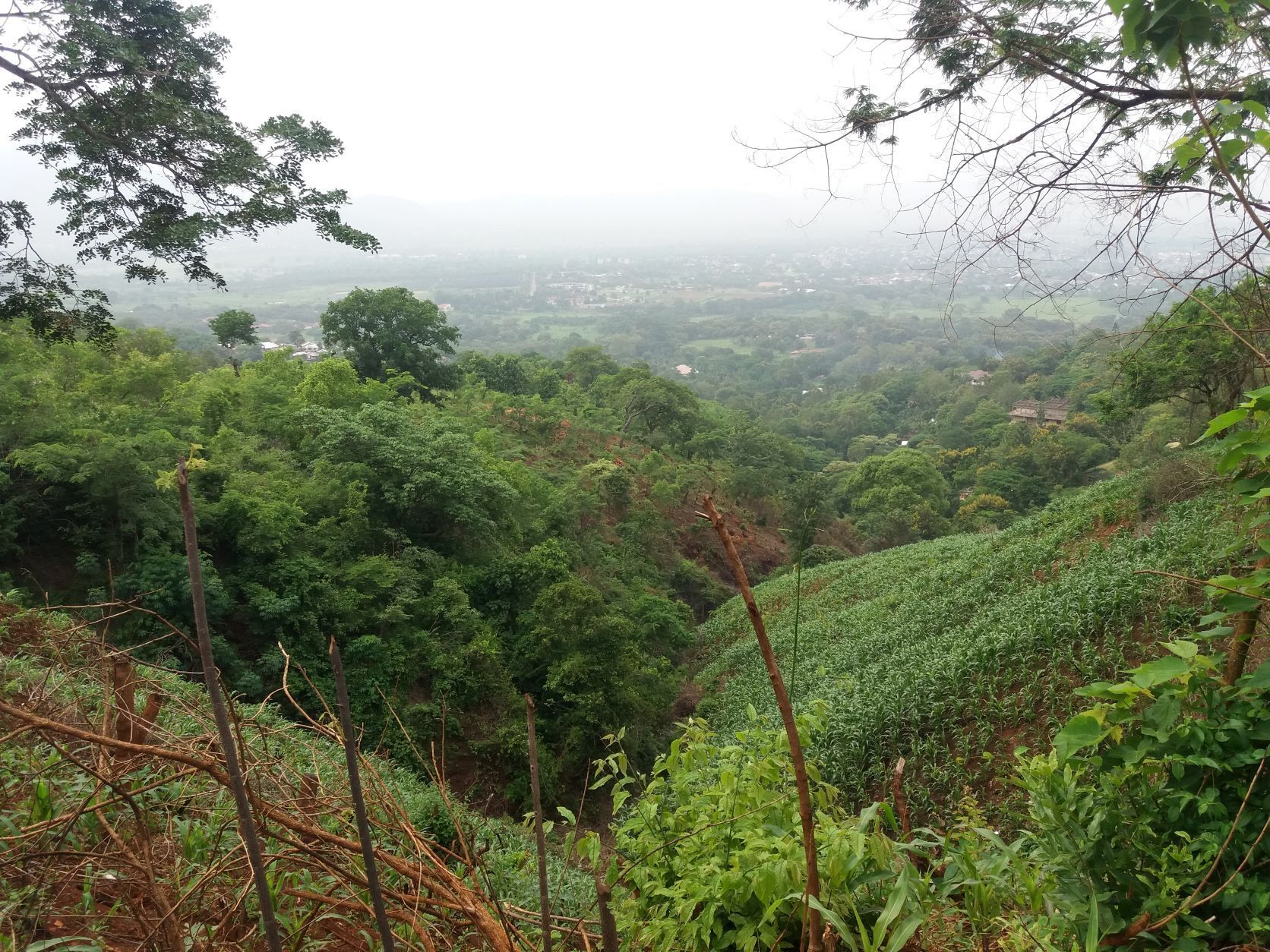 Gruenes-Tal-in-Tansania