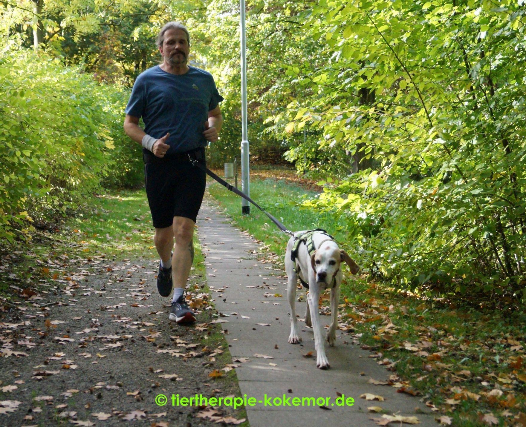Joggen mit Hund - gemeinsam fit! Joggen mit Hund, Canicross, laufen mit Hund