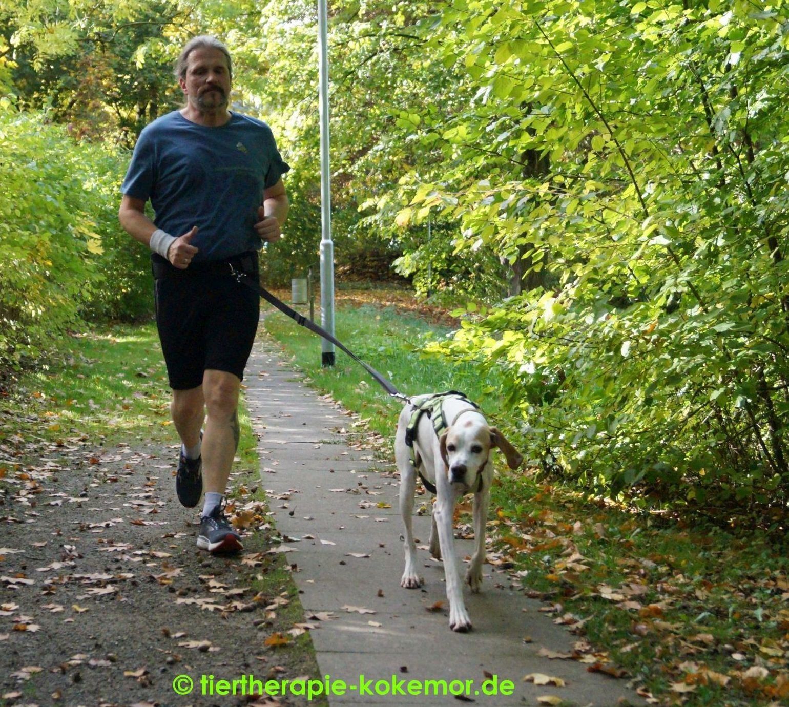 Joggen mit Hund, Canicross, Laufen mit Hund