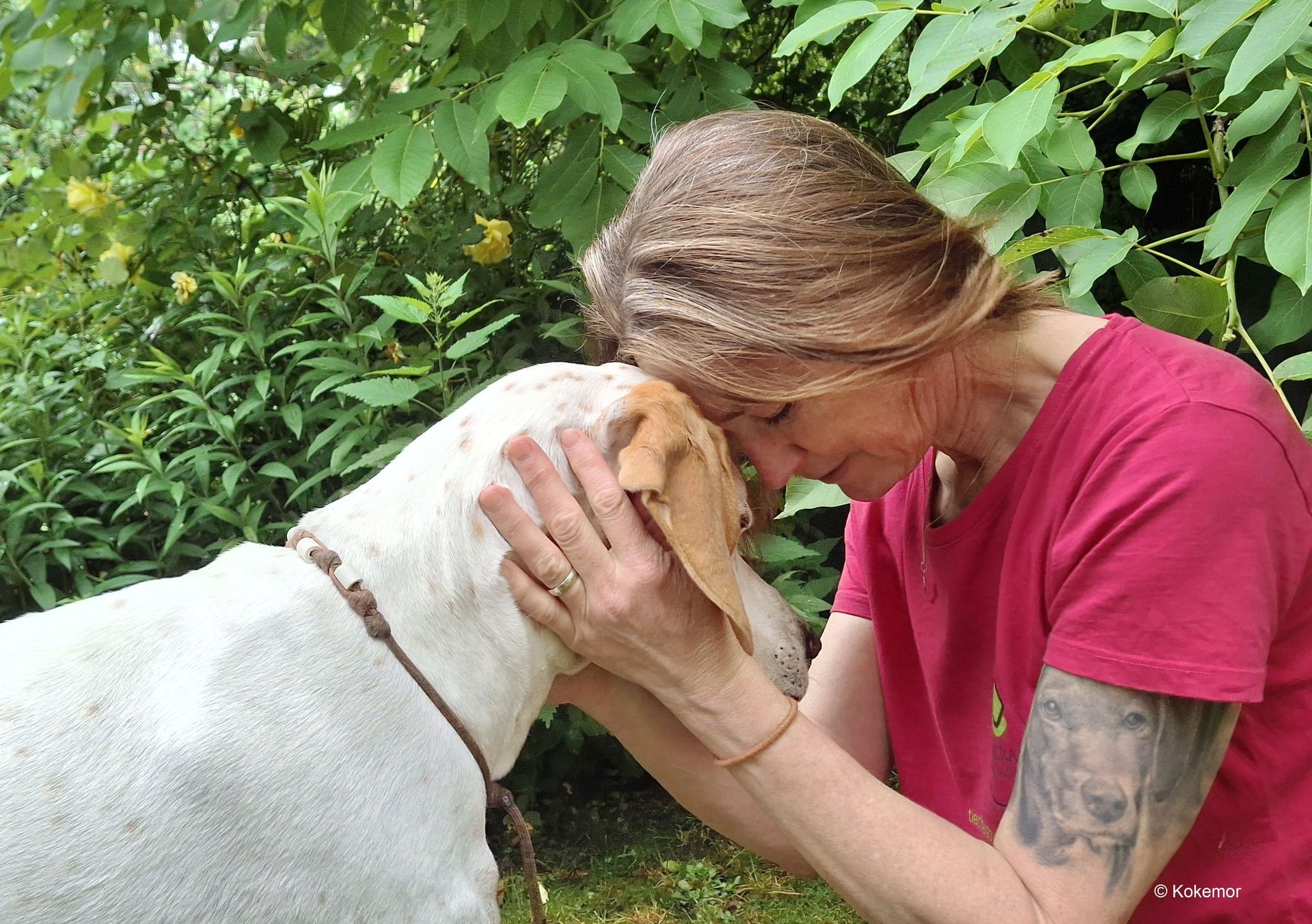 Herzenshund Enge Verbundenheit zwischen Mensch und Tier. Nur mit Hilfe der Tiere kommen wir Menschen weiter.