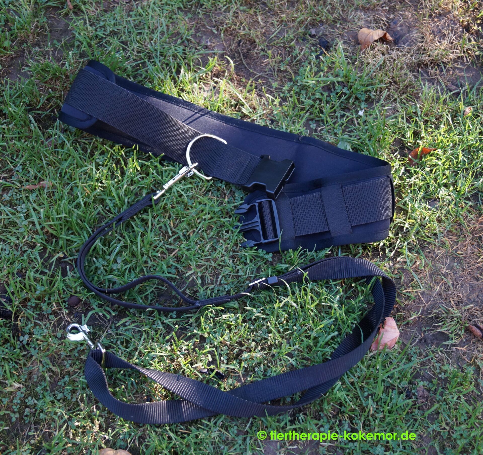 Hund Joggen, Canicross, Jogginggurt, laufen mit Hund