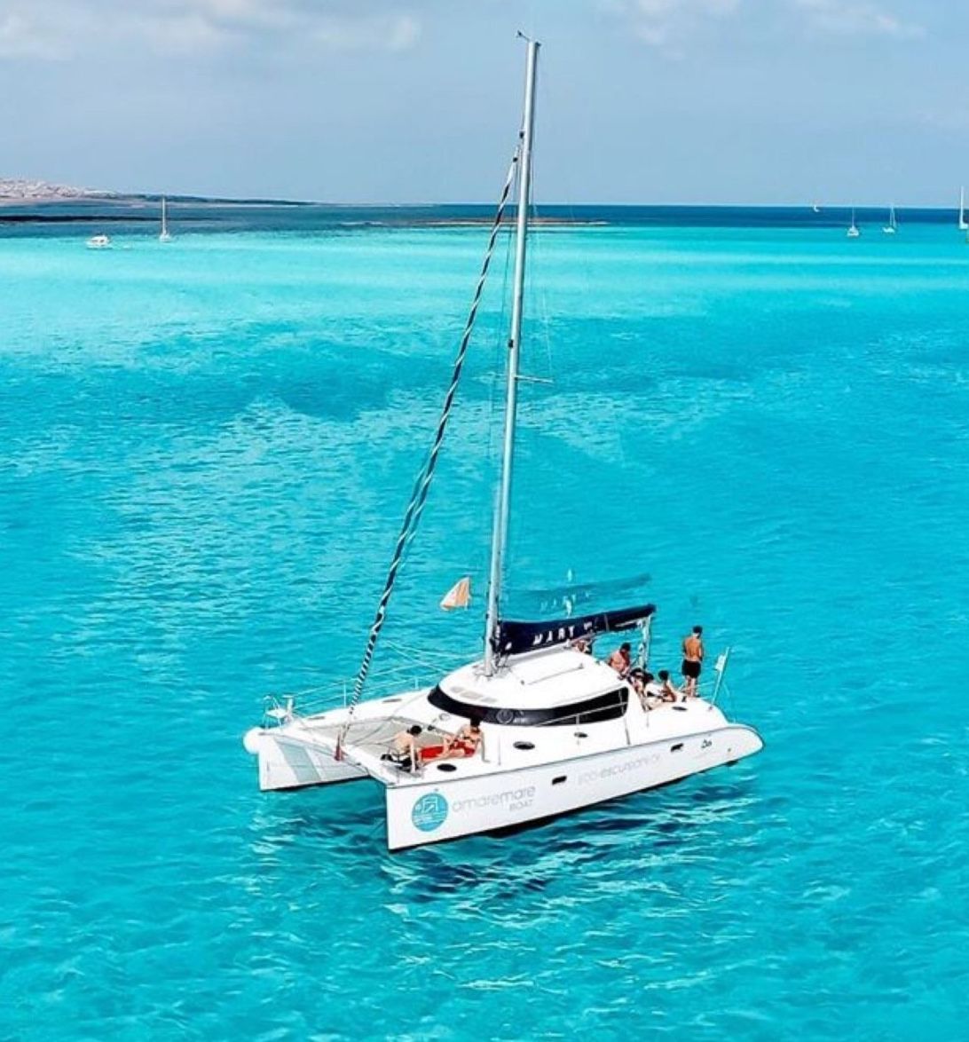 escursioni in catamarano Asinara