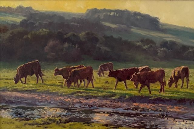 Evening Light in Cuckmere