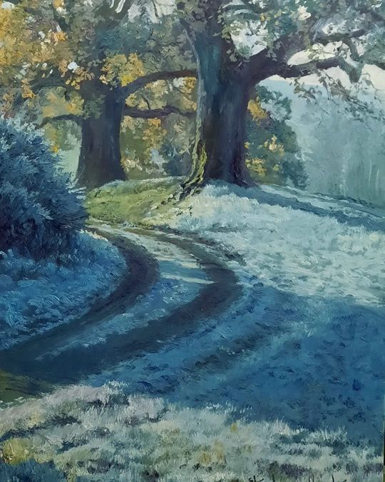 Oak Trees and Frost