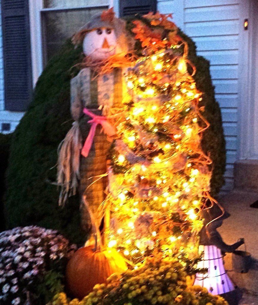 Scare crow, Halloween tree, pumpkins, mums